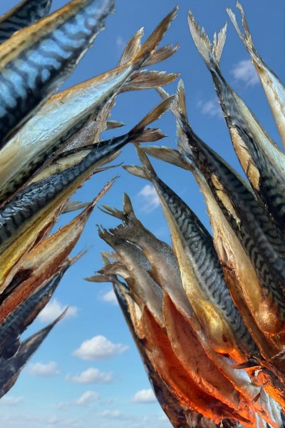 Steckerlfisch vor Ort gegrillt - 808-to-cater.de - Ihr Catering f�r M�nchen